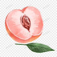 WWW,av804·COM网站APPAPP应用